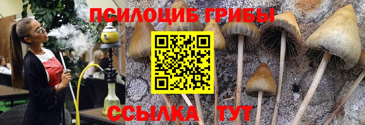 Галлюциногенные грибы мицелий Буйнакск