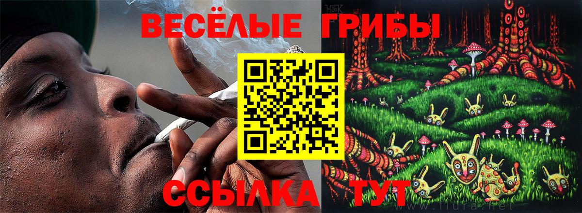 Псилоцибиновые грибы Cubensis  Вход с VPN  Буйнакск 